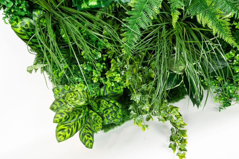 MOLOKAI by VGnewtrend - Quadro vegetale - 5