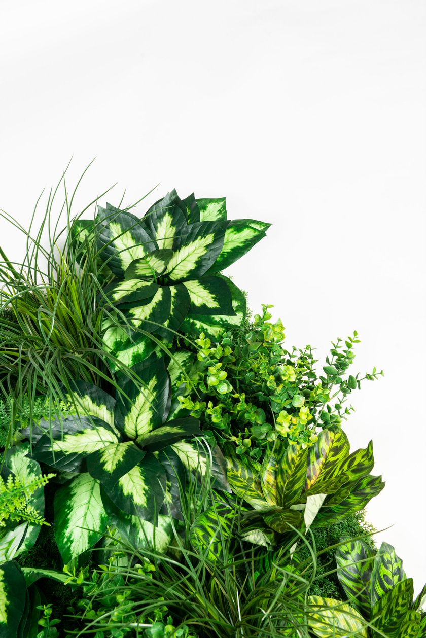 MOLOKAI by VGnewtrend - Quadro vegetale - 7