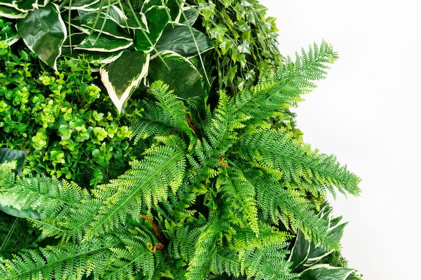 MOLOKAI by VGnewtrend - Quadro vegetale - 10