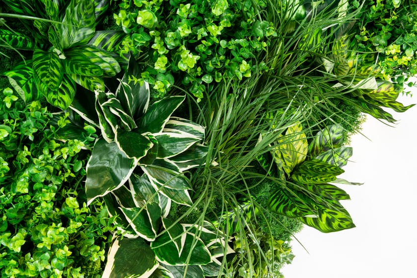 MOLOKAI by VGnewtrend - Quadro vegetale - 6