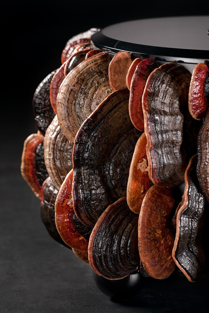 MUSHROOMS Round coffee table By Panoptikum Collections design Andrii