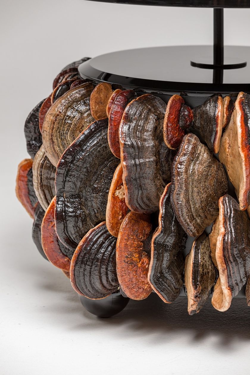 Round coffee table with light MUSHROOMS Coffee table with light