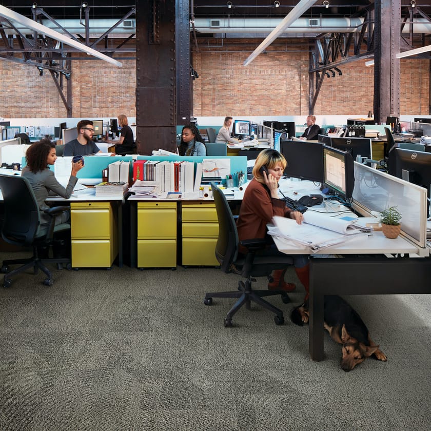 PAVER by Interface® - Moquette in Nylon® a quadrotte - 2