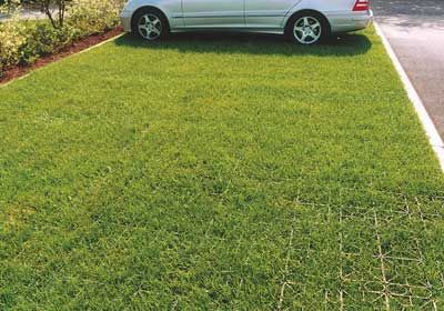 Edil Plast Lüftungsgitter – Chromiertes Design Für Garten & Haus