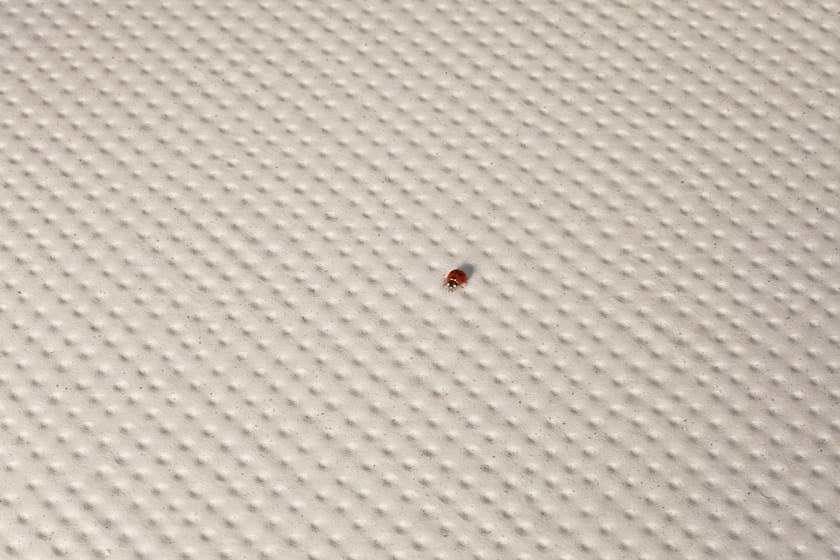 PICO DOWN NATURAL BLANC by Mutina - Pavimento/rivestimento in gres porcellanato - 2