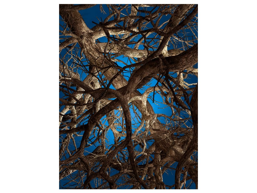 Rectangular rug LIQUID MAPLE By moooi design Broersen & Lukács