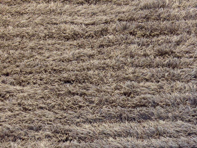 Langhaar Teppich Aapa By Woodnotes Design Ritva Puotila
