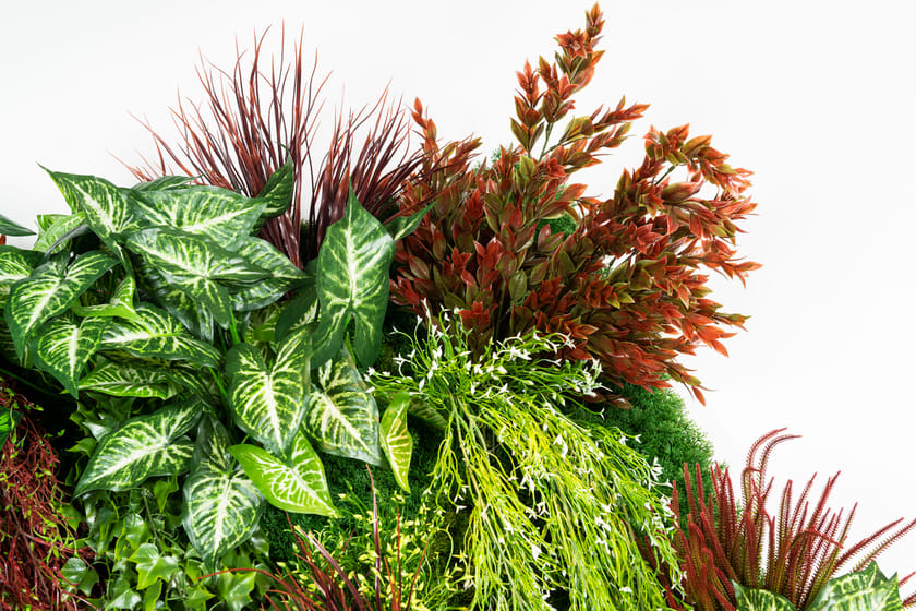 RATA by VGnewtrend - Quadro vegetale - 7