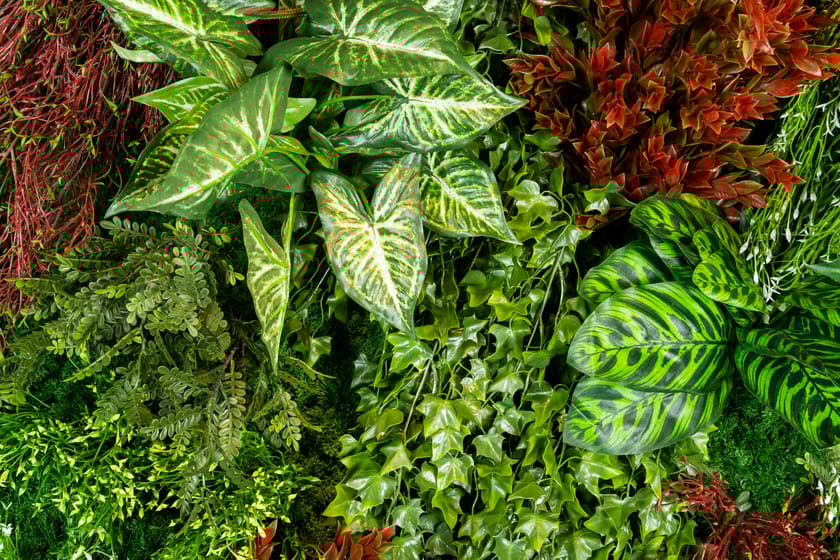 RATA by VGnewtrend - Quadro vegetale - 4