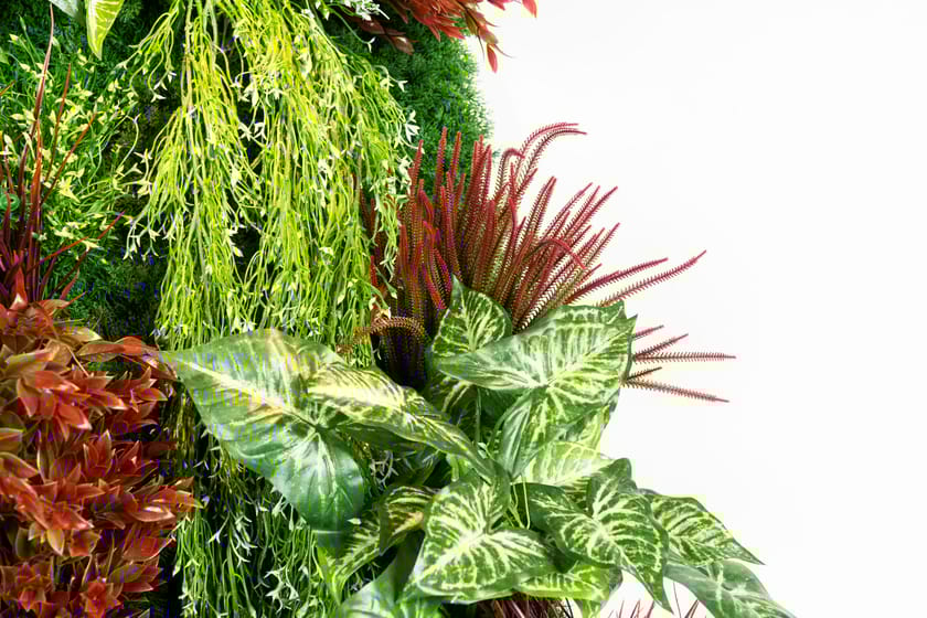 RATA by VGnewtrend - Quadro vegetale - 5