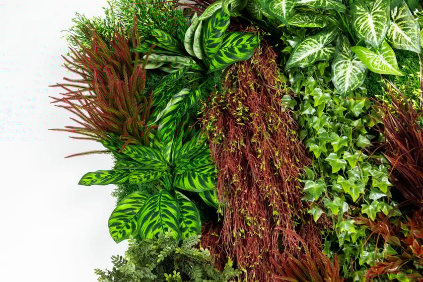 RATA by VGnewtrend - Quadro vegetale - 6