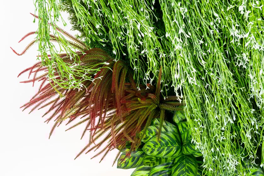 RATA by VGnewtrend - Quadro vegetale - 3