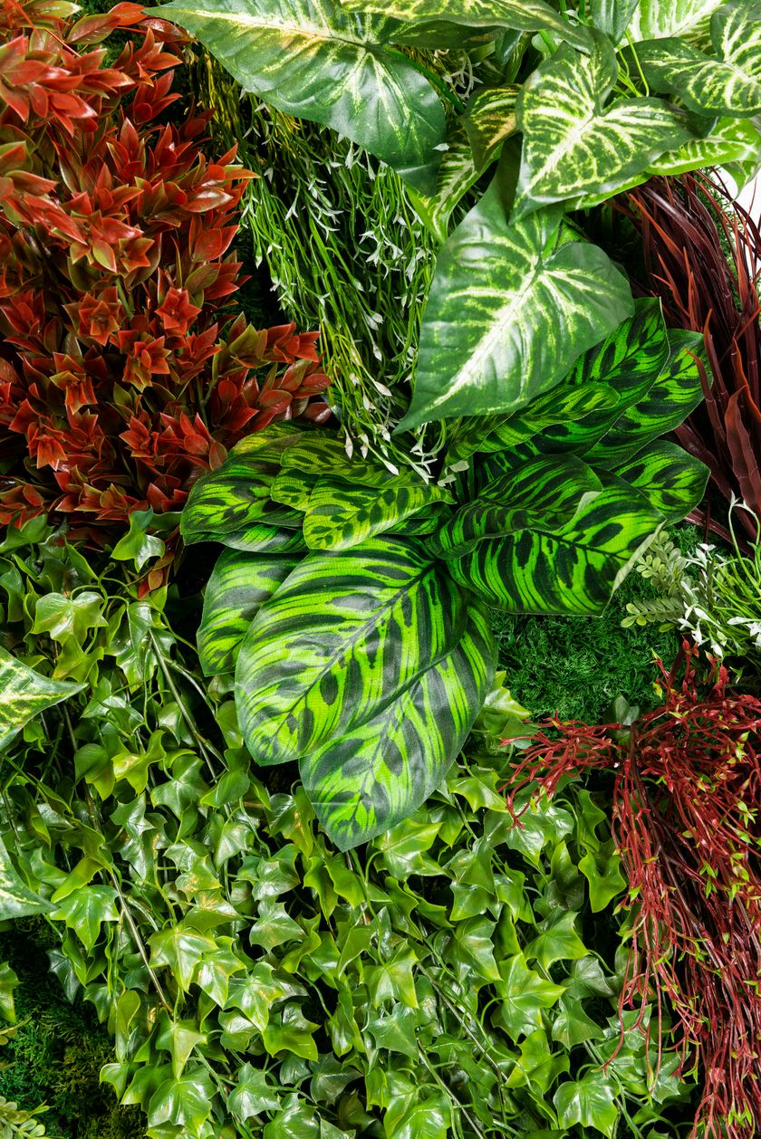 RATA by VGnewtrend - Quadro vegetale - 8