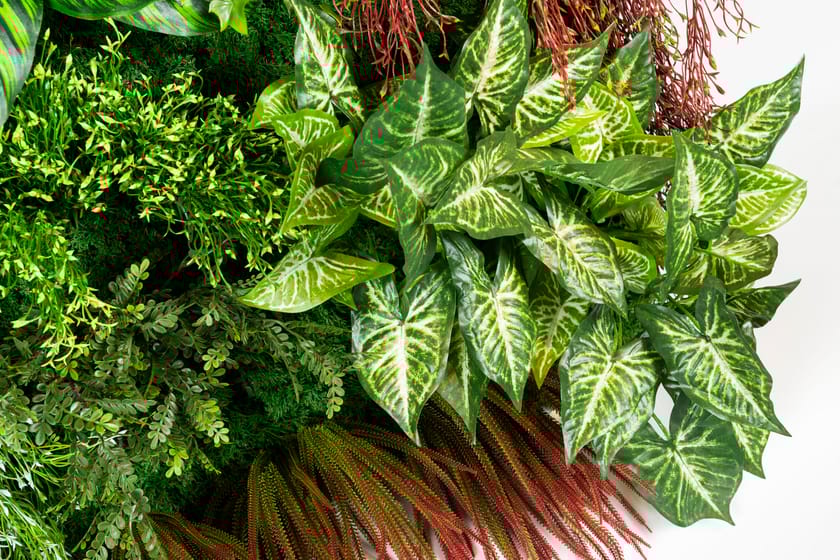 RATA by VGnewtrend - Quadro vegetale - 9