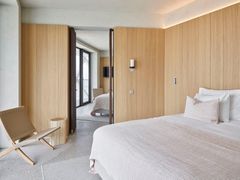 Cerniera per porte&nbsp;PIVOTICA PRO E - ARLU