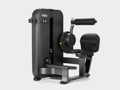 Multigym&nbsp;ARTIS� - LOWER BACK - TECHNOGYM