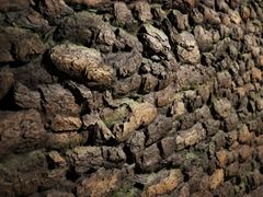 Pannello con effetti tridimensionali in fibra di vetro effetto legno per interni/esterni&nbsp;TAYGA - ARTSTONE PANEL SYSTEMS