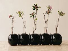 Centrotavola / vaso in tiglio&nbsp;CRESCENDO - CREANDE