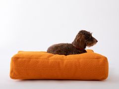 Cuscino per animali in panno casentino&nbsp;ELLIOTT | Cuscino per animali in panno casentino - 2.8 DUEPUNTOOTTO