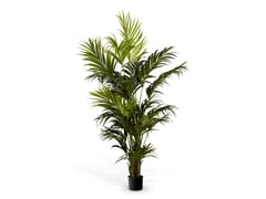 PIANTA ARTIFICIALE&nbsp;KENTIA PALM - EICHHOLTZ