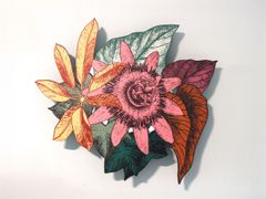 Gancio a parete in legno&nbsp;BOUCAN - IBRIDE