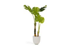 Pianta artificiale&nbsp;MONSTERA - KAVE HOME S.L.U.