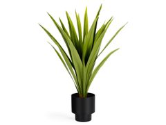 Pianta artificiale&nbsp;YUCCA - KAVE HOME S.L.U.