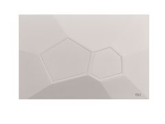 PLACCA DI COMANDO PER WC MECCANICA IN BIO-ABS&nbsp;VORONOI - OLI