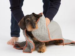 Asciugamano in cotone per animali&nbsp;SALLY - 2.8 DUEPUNTOOTTO