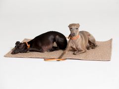 Tappetino da viaggio per animali in tela&nbsp;STEVE | Oggetto per animali in tela - 2.8 DUEPUNTOOTTO