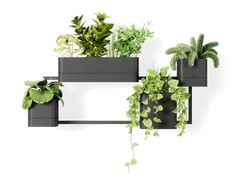 Vaso da parete in plastica riciclata&nbsp;CUBIKO - UMBRA