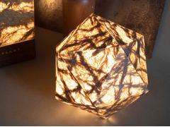 Lampada da tavolo / lampada da terra in Viaplant� Cast&nbsp;HEDRON - VIAPLANT DESIGN