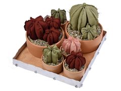 Composizione di piante in tessuto con vassoio&nbsp;DORADA - GRASSI DANILA