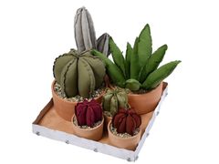 Composizione di piante in tessuto con vassoio&nbsp;DUNA - GRASSI DANILA