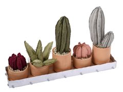 Composizione di piante in tessuto con vassoio&nbsp;PLUVIA - GRASSI DANILA