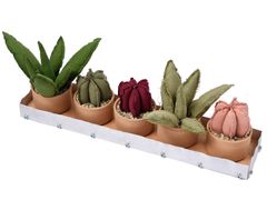 Composizione di piante in tessuto con vassoio&nbsp;SOLARIA - GRASSI DANILA