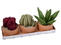 Composizione di piante in tessuto con vassoio&nbsp;TORRIDA - GRASSI DANILA