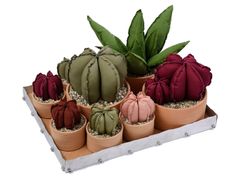 Composizione di piante in tessuto con vassoio&nbsp;VIRIDA - GRASSI DANILA