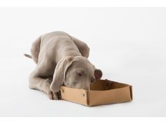 Ciotola per animali pieghevole in fibra di cellulosa&nbsp;VIVIEN - 2.8 DUEPUNTOOTTO