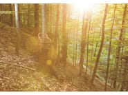 002 by TON - Sedia in legno - 9