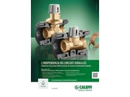 140 by CALEFFI - Regolatore di pressione differenziale - 2