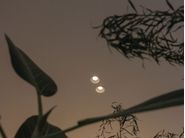 AXOLIGHT | Illuminazione di design