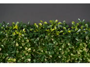 BOSSO FLAT by VGnewtrend - Quadro vegetale - 3