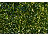 BOSSO FLAT by VGnewtrend - Quadro vegetale - 5