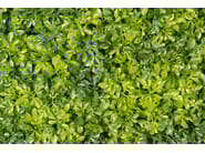 BOSSO MIX by VGnewtrend - Quadro vegetale - 4