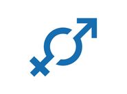 Blumatica | Software