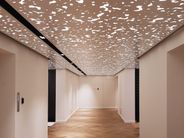 Pannelli per pareti e soffitti by Bruag - Rivestimento tridimensionale per interni - 2