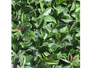 Siepe Sintetica Fotinia 3D - Rotolo 1,5x3m Per Privacy Giardino - Foto 2