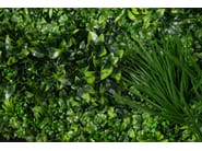 ECUADOR by VGnewtrend - Quadro vegetale - 2