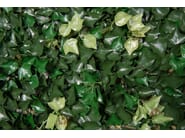 EDERA by VGnewtrend - Quadro vegetale - 4